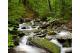 Photo: Townshend State Park